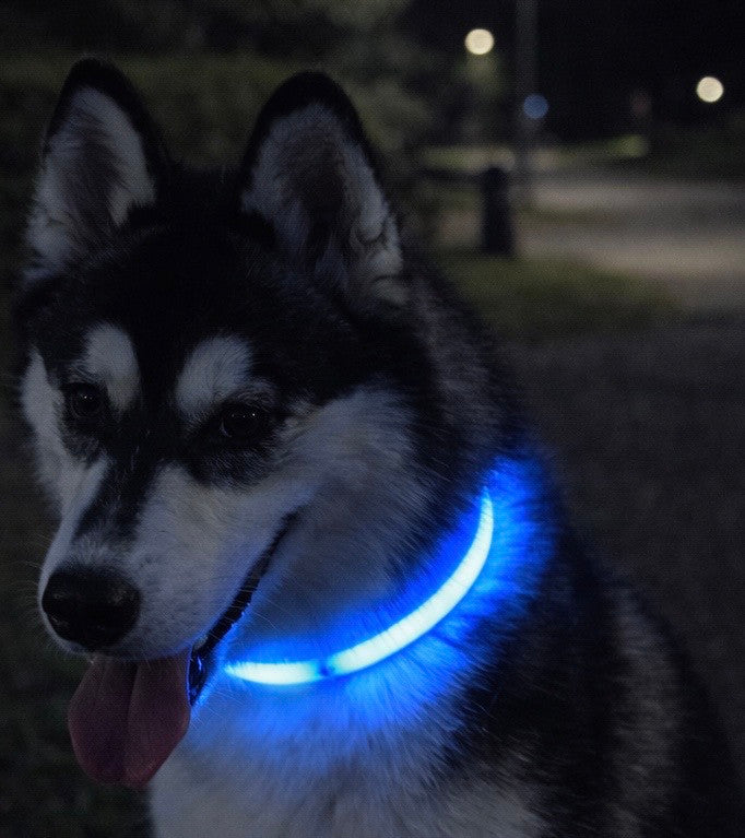 🐕 Hikari Collar™（ヒカリ・カラー）